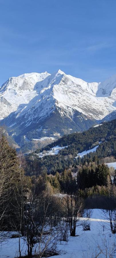 Appartement Ideal Ete Ou Hiver, Pour Skieurs Et Promeneurs, 4 Personnes サン・ジェルヴェ・レ・バン エクステリア 写真